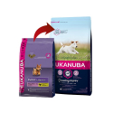 Eukanuba-Cachorro Razas Pequeñas (2)