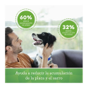 Greenie Pack Original Medium para Perro