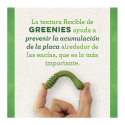 Greenie Pack Original Medium para Perro