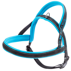 Arnes Sport Dog Blue P Ferplast