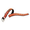 Collar Dual para perros Orange Ferplast