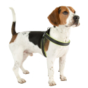 Arnes Agila Fluo para perros Ferplast