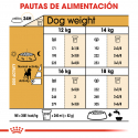 Royal Canin-Beagle Adulto (1)