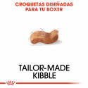 Boxer Adulto (6)