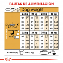 Boxer Adulto (6)