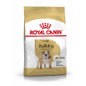 Royal Canin-Bulldog Inglés Adulto (1)