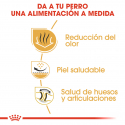 Royal Canin-Bulldog Inglés Adulto (1)