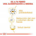 Royal Canin-Chihuahua Adulto (1)