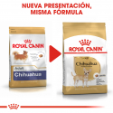 Royal Canin-Chihuahua Adulto (1)