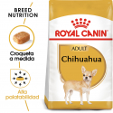 Royal Canin-Chihuahua Adulto (1)