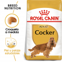 Royal Canin-Cocker Adulto (1)