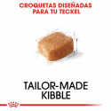 Royal Canin-Teckel Adulto (1)