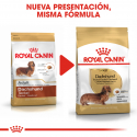 Royal Canin-Teckel Adulto (1)