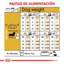 Royal Canin-Teckel Adulto (1)