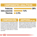 Royal Canin-Teckel Adulto (1)