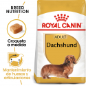 Royal Canin-Teckel Adulto (1)