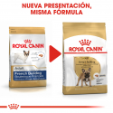 Royal Canin-Bulldog Francés Adulto (1)