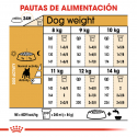 Royal Canin-Bulldog Francés Adulto (1)