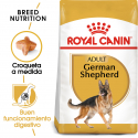 Royal Canin-Pastor Alemán Adulto (1)