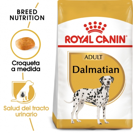 Royal Canin-Dalmata Adulto (1)