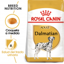 Royal Canin-Dalmata Adulto (1)