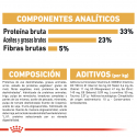 Royal Canin-Sphynx Adulto (1)