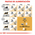 Royal Canin-Sphynx Adulto (1)