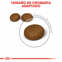 Royal Canin-Hair & Skin (1)