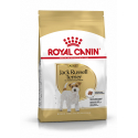 Royal Canin-Jack Russell Adulto (1)