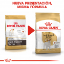 Royal Canin-Jack Russell Adulto (1)