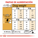 Royal Canin-Jack Russell Adulto (1)