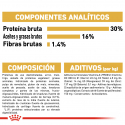 Royal Canin-Jack Russell Adulto (1)