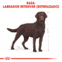 Royal Canin-Labrador Retriever Sterilised (1)