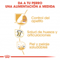 Royal Canin-Labrador Retriever Sterilised (1)