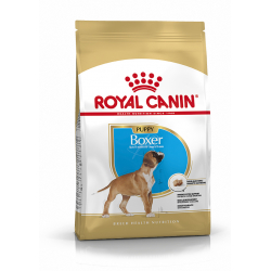 Boxer Junior (1)