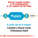Royal Canin-Chihuahua Cachorro (1)