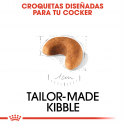 Royal Canin-Cocker Cachorro (1)
