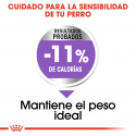 Royal Canin-X-Small Sterilised (1)
