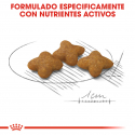 Royal Canin-X-Small Sterilised (1)