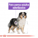 Medium Sterilizado Razas Medianas (1)