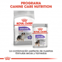 Medium Sterilizado Razas Medianas (1)