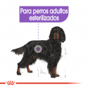 Royal Canin-Maxi Esterilizado Razas Grandes (1)