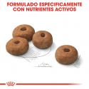 Royal Canin-Maxi Esterilizado Razas Grandes (1)