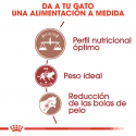 Fit 32 Equilibrio Nutricional (1)