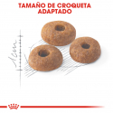 Fit 32 Equilibrio Nutricional (1)