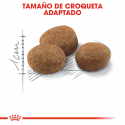 Royal Canin-Sterilised +7 Años (1)
