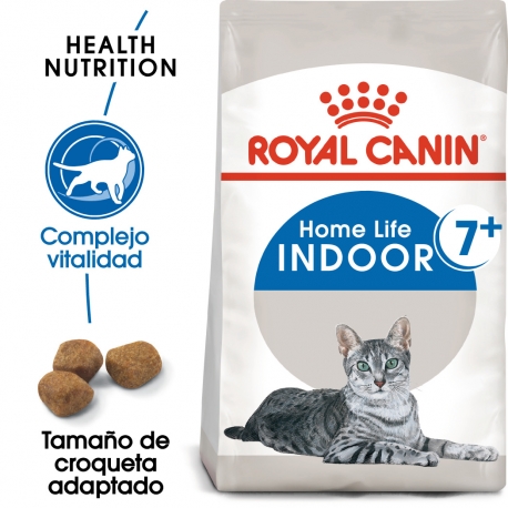 Indoor +7 Años (6)