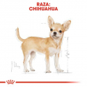 Royal Canin-Chihuahua Pouch 85 gr (1)