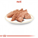 Royal Canin-Chihuahua Pouch 85 gr (1)