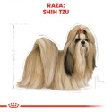 Royal Canin-Shih Tzu Adulto (1)